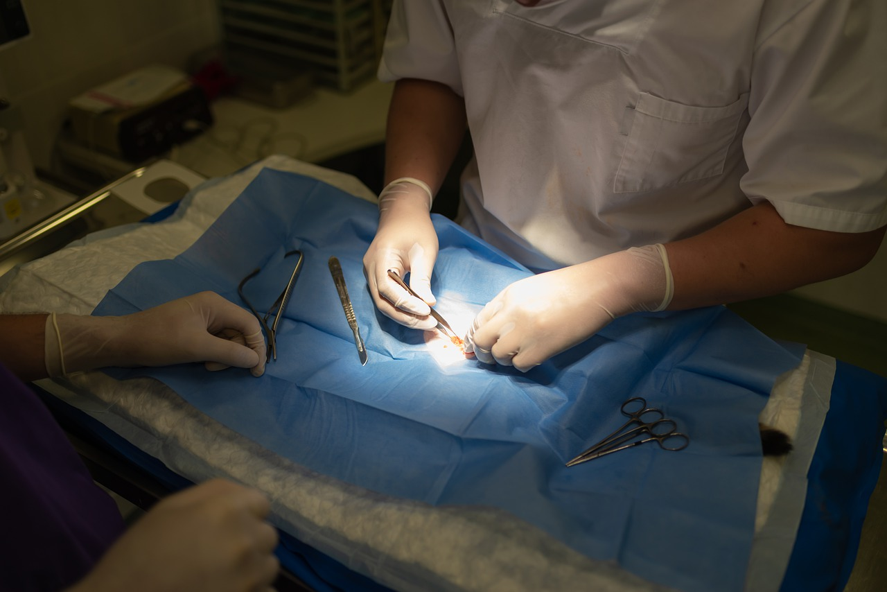 How to Spot an Infected Dog Wound: Key Symptoms Every Owner Should Know