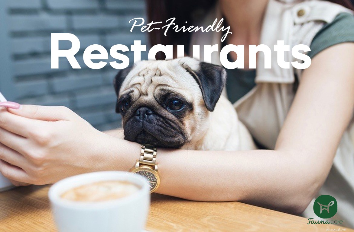 Explore Brooklyn’s Top Pet-Friendly Restaurants: A Comprehensive Guide