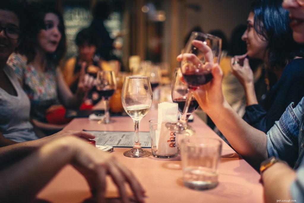 Explore Brooklyn’s Top Pet-Friendly Restaurants: A Comprehensive Guide