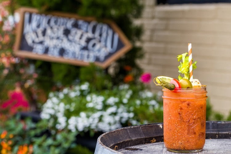 Explore Brooklyn’s Top Pet-Friendly Restaurants: A Comprehensive Guide