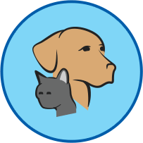 Treat Ringworm Near Your Dog’s Eye: Quick, Safe Relief for Fungal Infections
