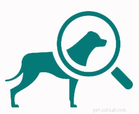 Treat Ringworm Near Your Dog’s Eye: Quick, Safe Relief for Fungal Infections
