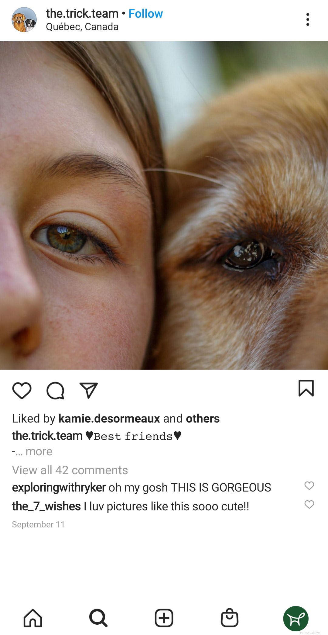 Treat Ringworm Near Your Dog’s Eye: Quick, Safe Relief for Fungal Infections