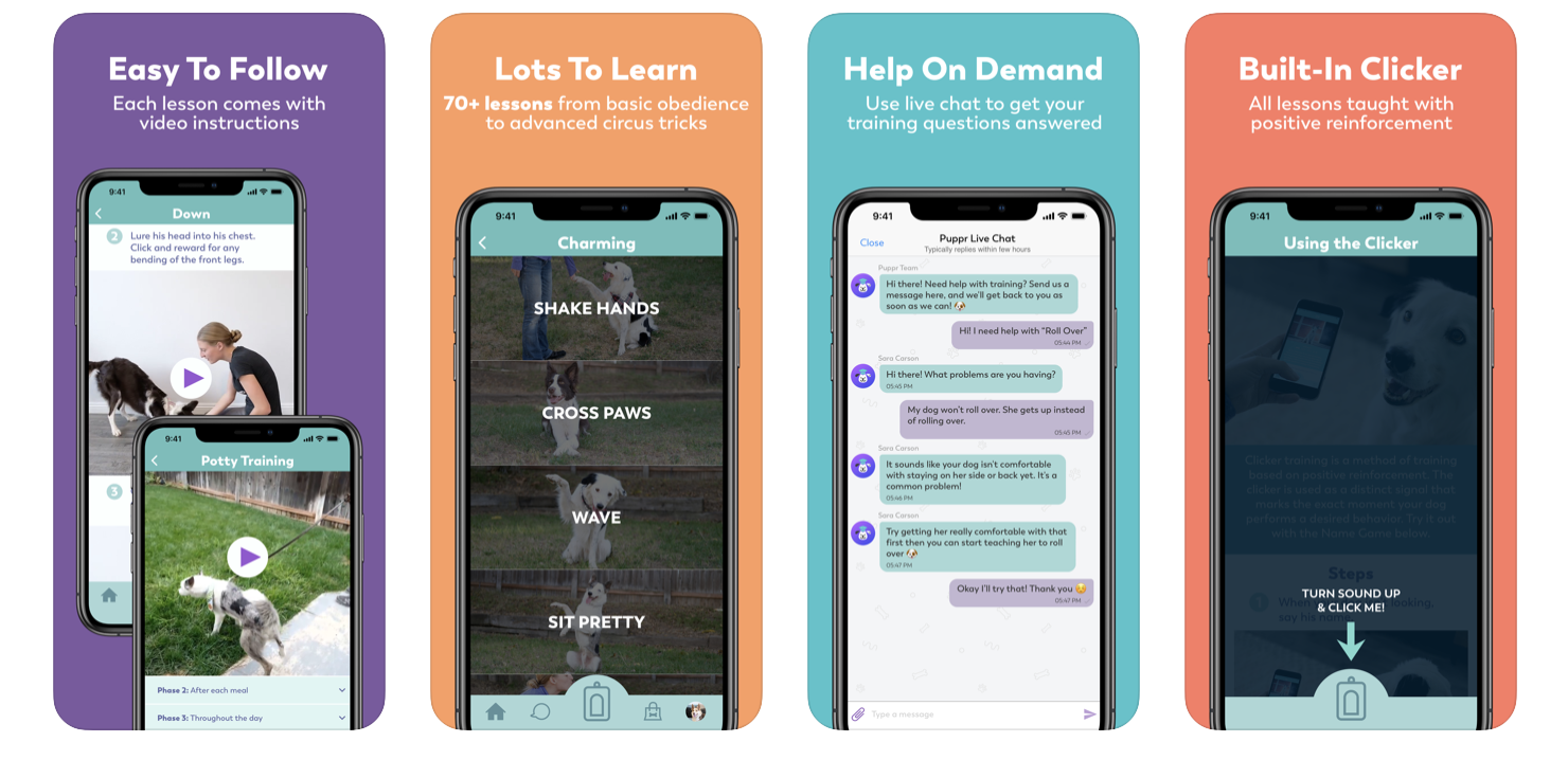 5 Free Apps That Keep Your Dog Engaged, Happy, and Bored Out of the Park