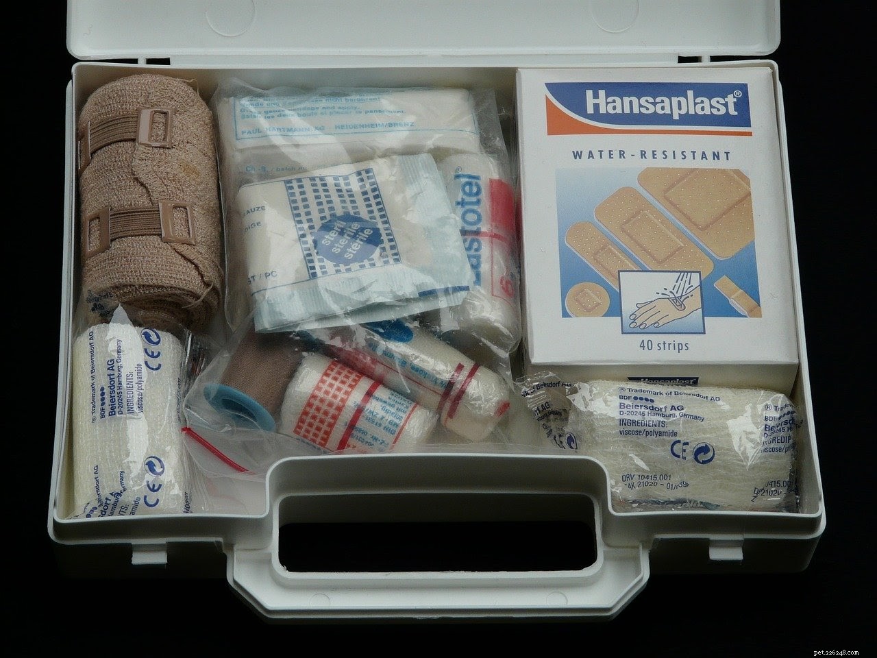 Step-by-Step Guide to Safely Cleaning Your Dog s Wound