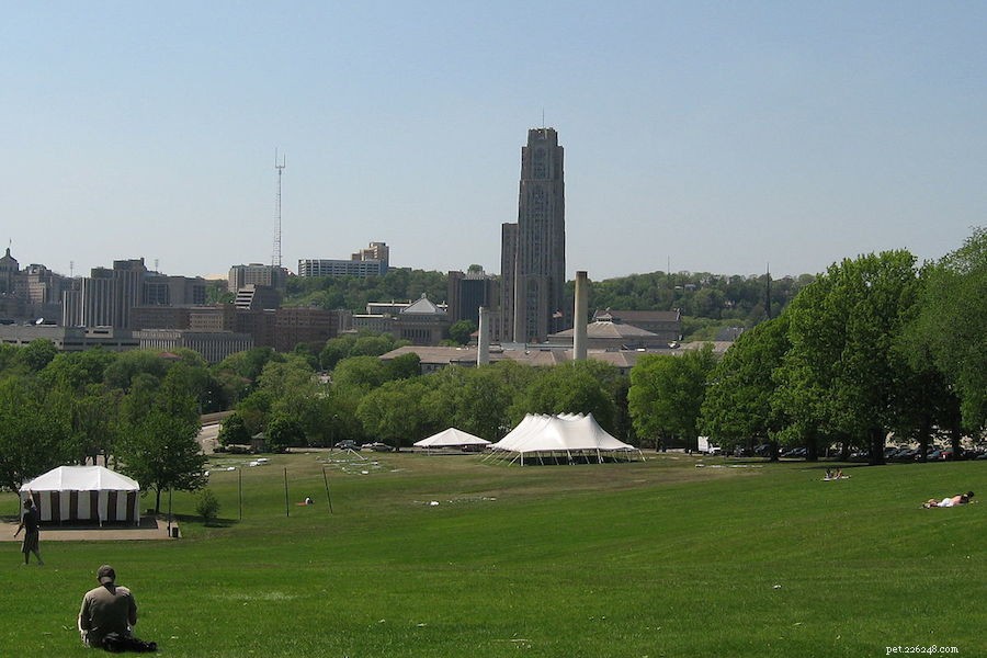 Explore Pittsburgh s Top Dog-Friendly Parks & Activities