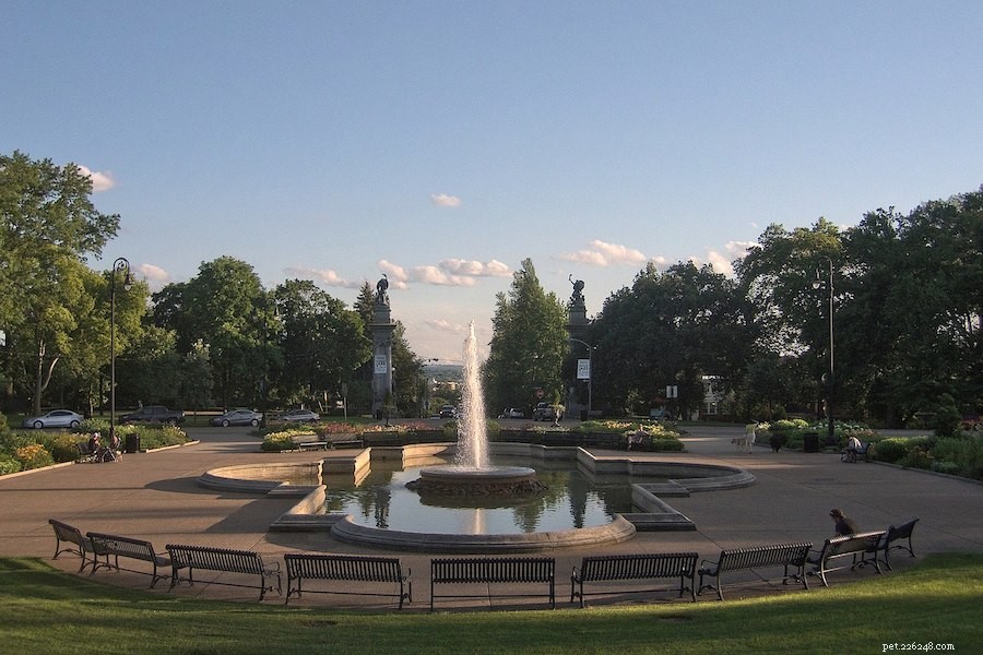 Explore Pittsburgh s Top Dog-Friendly Parks & Activities