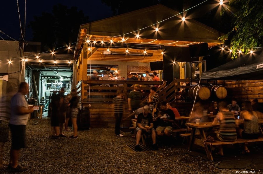 Explore Pittsburgh s Top Dog-Friendly Parks & Activities