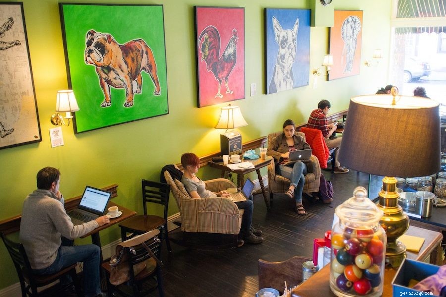 Explore Pittsburgh s Top Dog-Friendly Parks & Activities