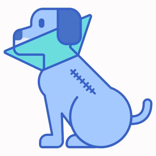 How to Care for Your Dog’s Open Wound: Immediate Steps & Tips