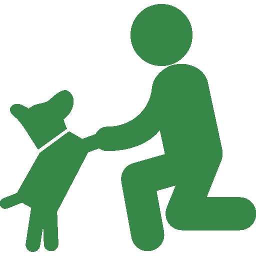 How to Care for Your Dog’s Open Wound: Immediate Steps & Tips