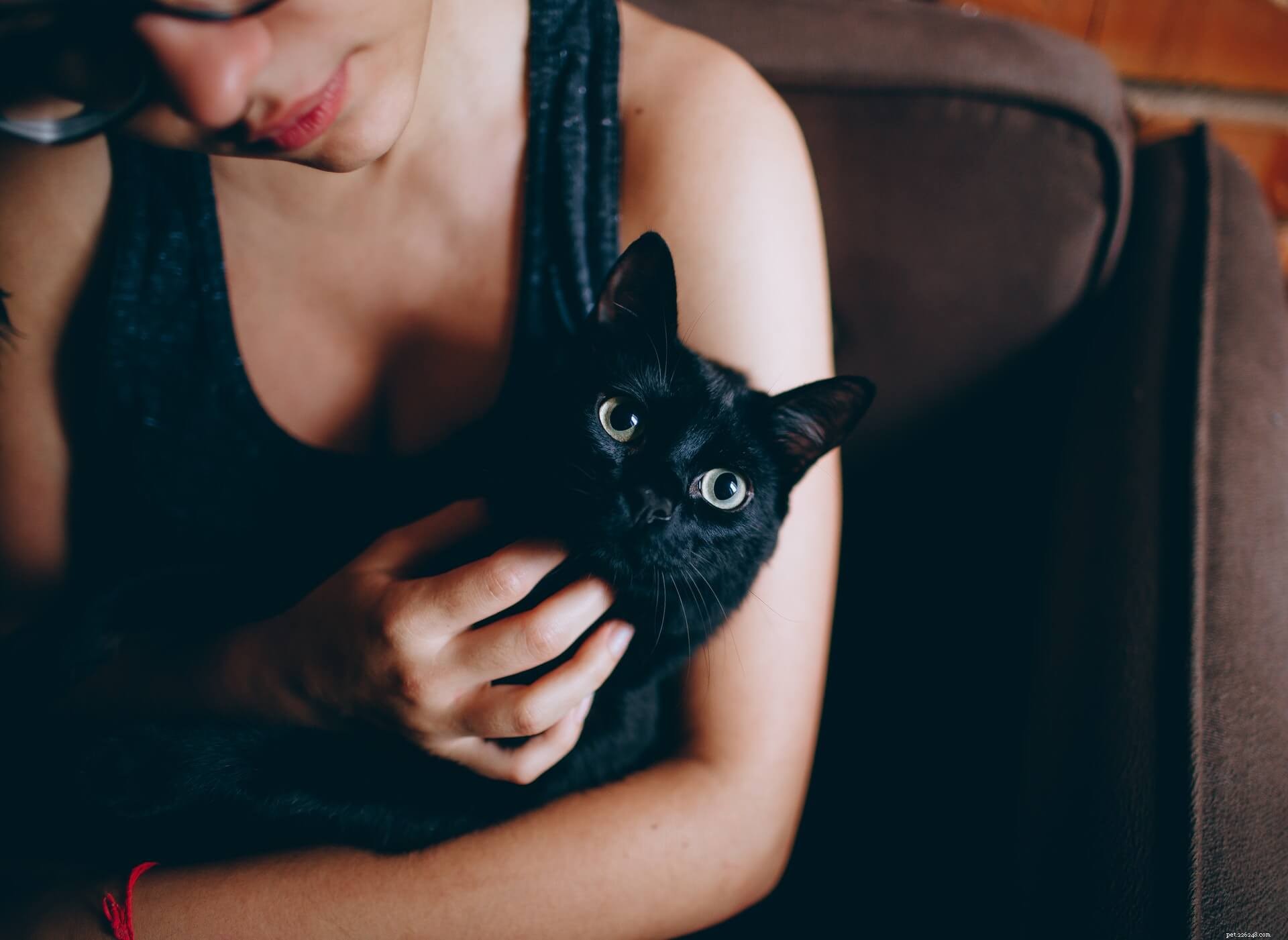 Ringworm Demystified: Symptoms, Causes, and Prevention Tips