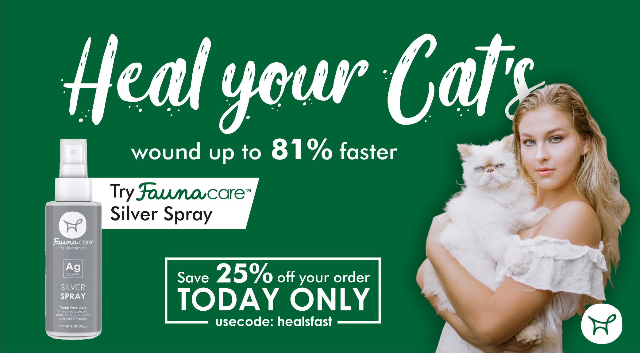 Three Essential Steps for Prompt and Safe Cat Wound Care