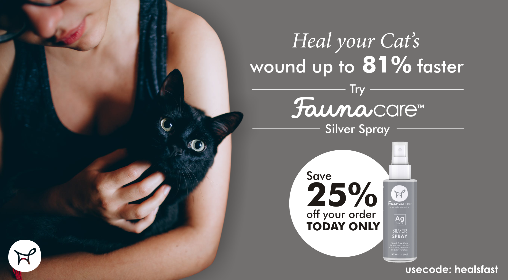Top Cat Essentials: Products That Keep Indoor Cats Happy and Healthy