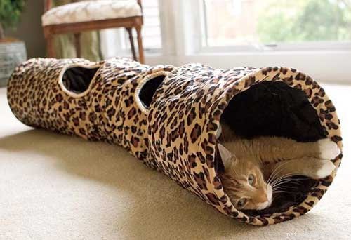 Top Cat Essentials: Products That Keep Indoor Cats Happy and Healthy