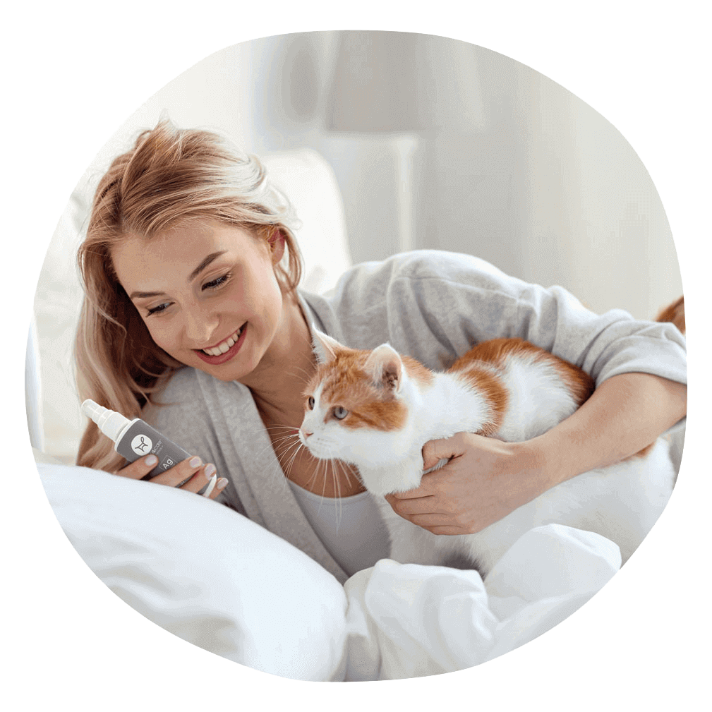 Top Cat Essentials: Products That Keep Indoor Cats Happy and Healthy
