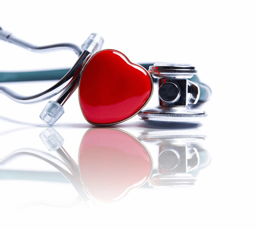 Top Veterinary Specialists in Pittsburgh: A Trusted Guide for Pet Owners
