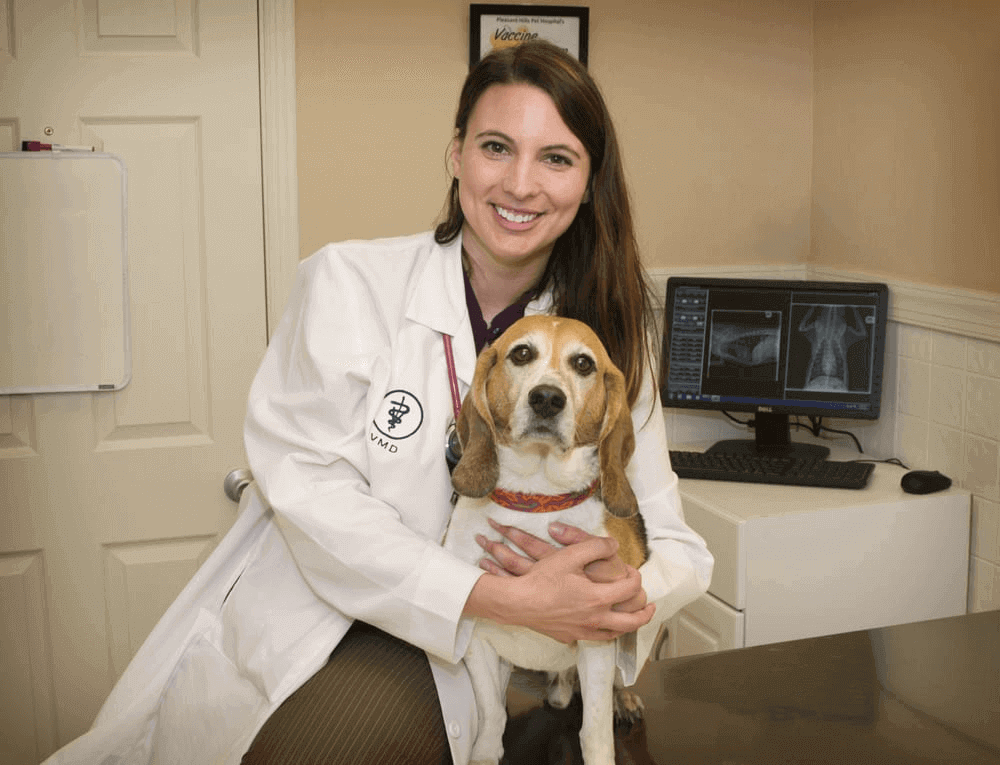 Top Veterinary Specialists in Pittsburgh: A Trusted Guide for Pet Owners