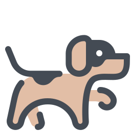 Essential Guide to Post‑Spay and Neuter Recovery for Dogs
