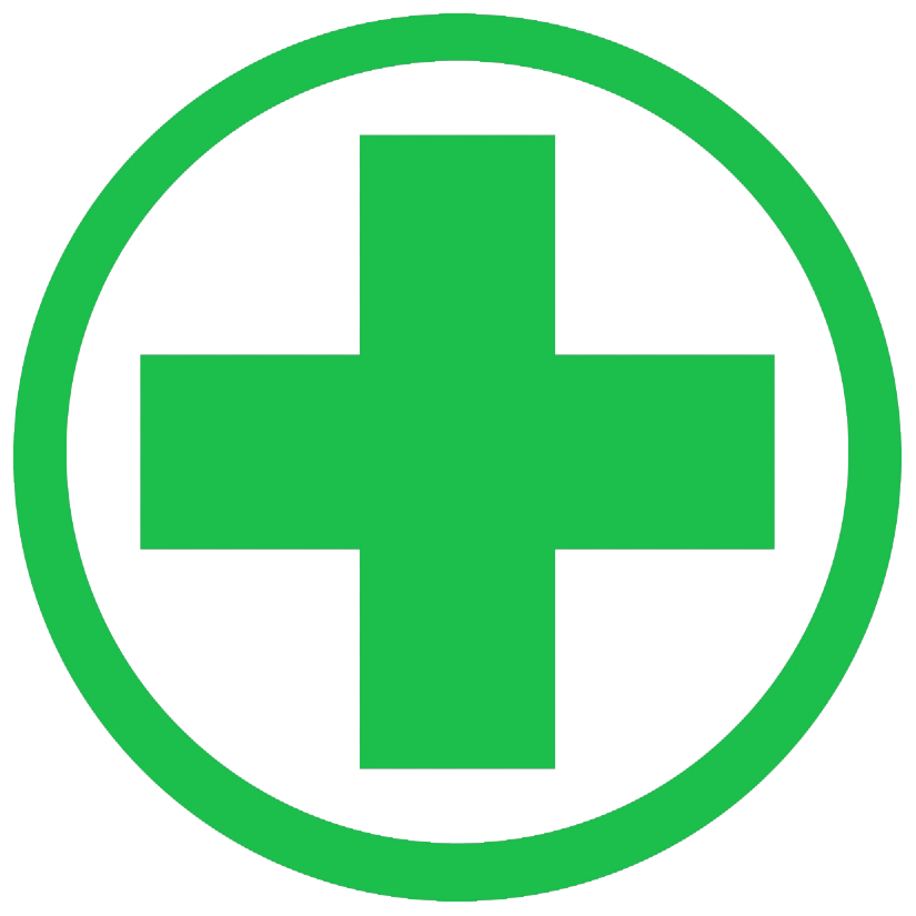 Essential Guide to Post‑Spay and Neuter Recovery for Dogs