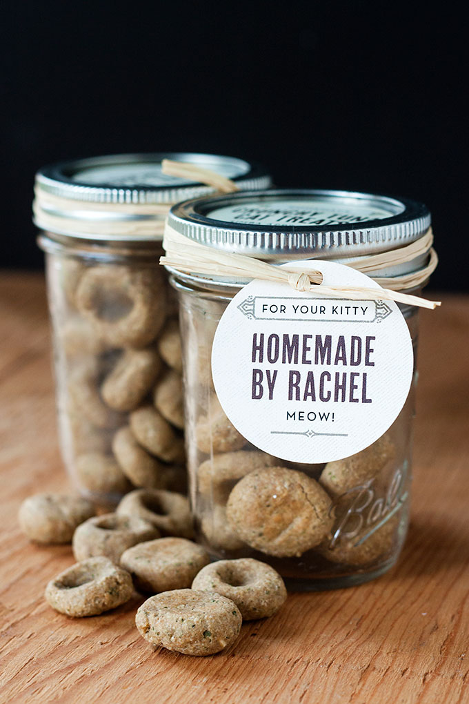 DIY Cat Treats Your Feline Will Love: Simple, Healthy Recipes