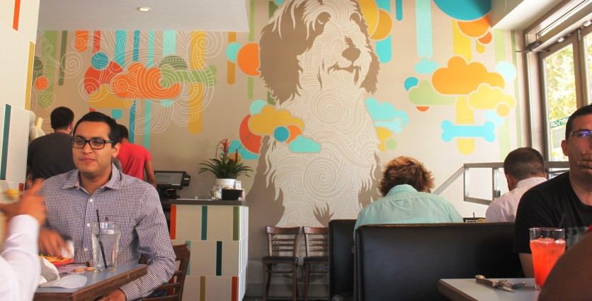 Top 8 Pet-Friendly Restaurants in Houston – Dining Out with Your Furry Friend