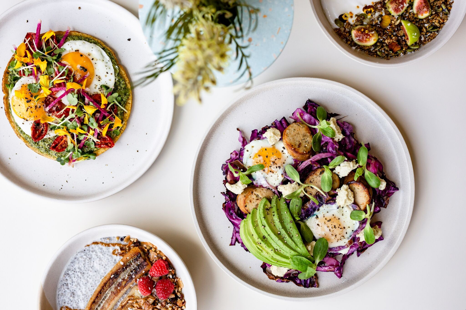 Top 8 Pet-Friendly Restaurants in Houston – Dining Out with Your Furry Friend