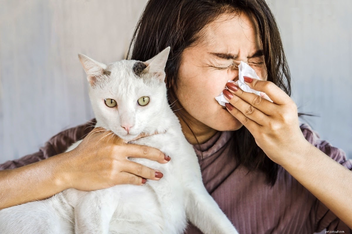 How to Eliminate Cat Dander: Effective Tips for Allergy Relief