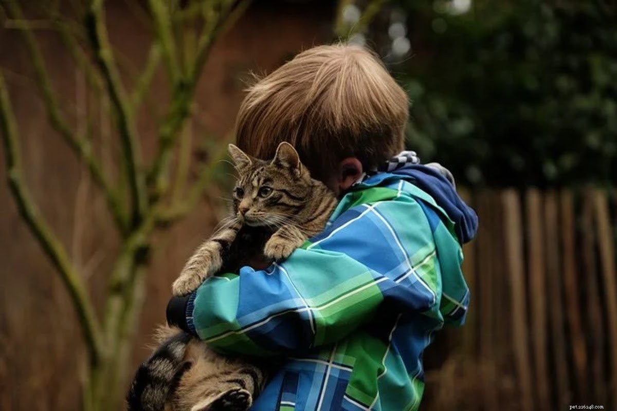How to Eliminate Cat Dander: Effective Tips for Allergy Relief