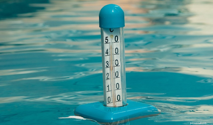 Mastering Fish Tank Temperature: Key Tips for Optimal Aquarium Health