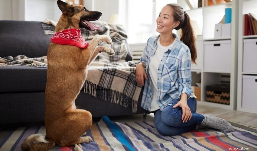Keeping Pets Active and Happy All Winter Long