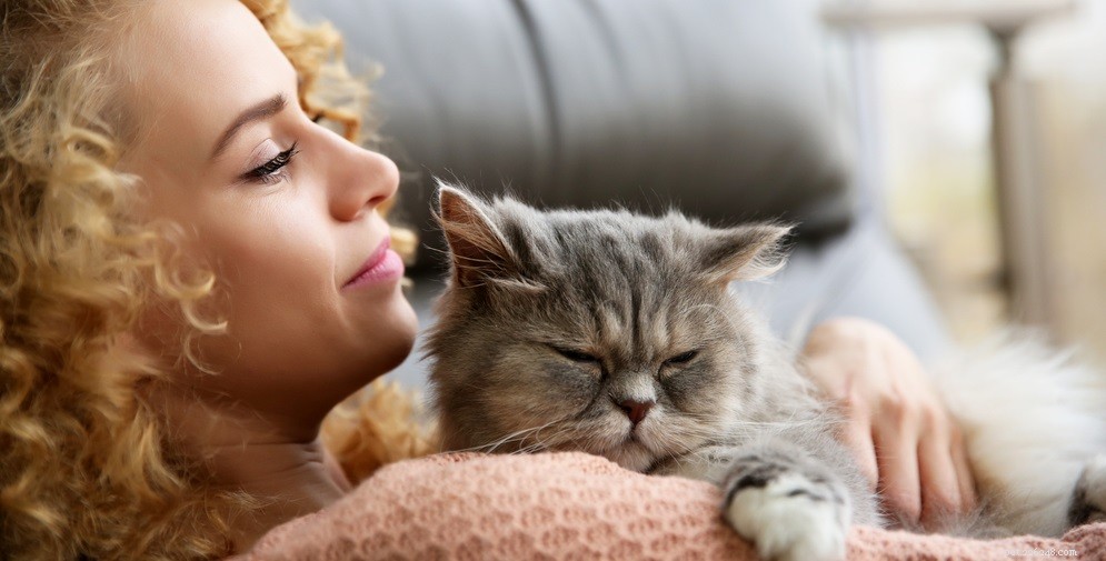 Cat Eye Health: Expert Guide to Common Eye Problems & Solutions