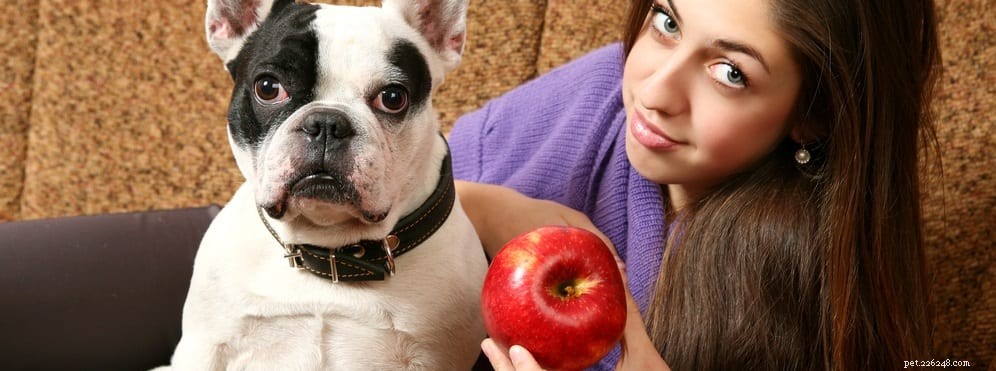 Do Your Dog Need Vitamins? Expert Insights on Supplements for Lifelong Health