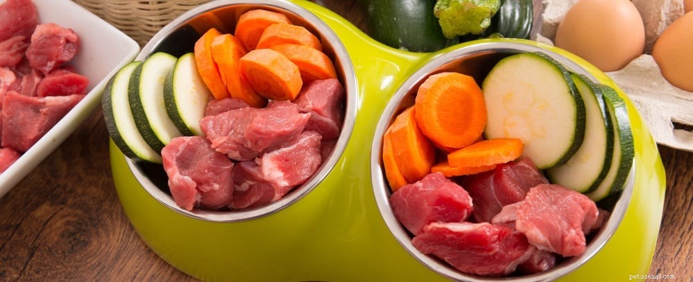 Do Your Dog Need Vitamins? Expert Insights on Supplements for Lifelong Health