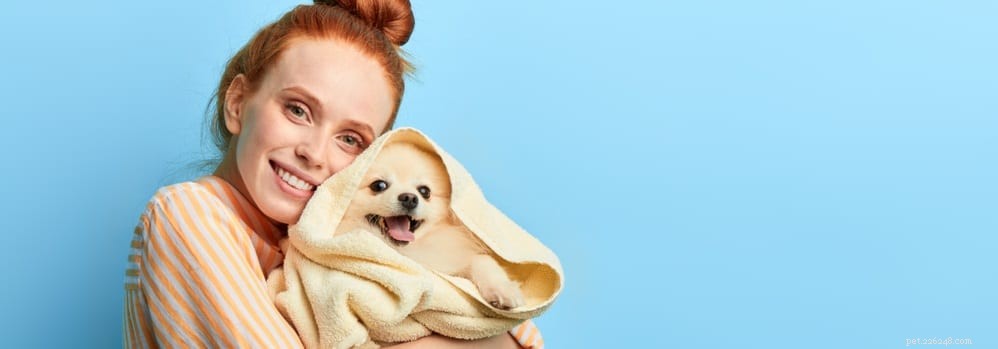 Key Essentials for Raising Healthy Puppies