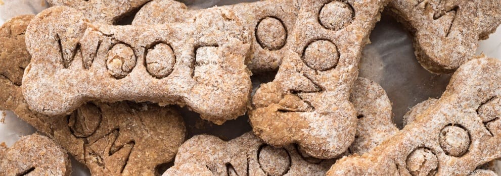 How a Daily Digestive Aid Boosts Your Dog’s Health and Well-Being
