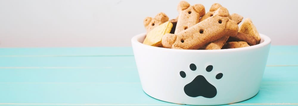 How a Daily Digestive Aid Boosts Your Dog’s Health and Well-Being