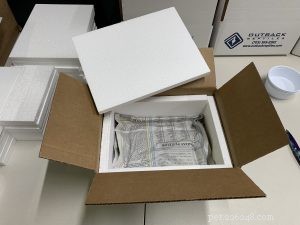 Safe & Effective Live Reptile Shipping: Expert Packing & Delivery Tips