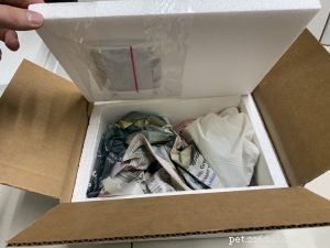 Safe & Effective Live Reptile Shipping: Expert Packing & Delivery Tips