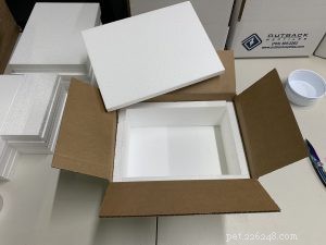 Safe & Effective Live Reptile Shipping: Expert Packing & Delivery Tips
