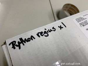 Safe & Effective Live Reptile Shipping: Expert Packing & Delivery Tips