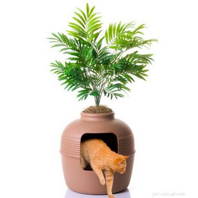 Top Litter Box Enclosures for a Stylish, Odor‑Free Home