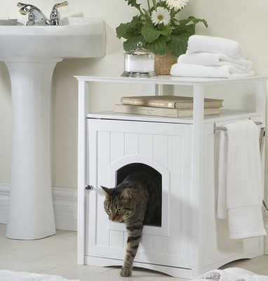 Top Litter Box Enclosures for a Stylish, Odor‑Free Home
