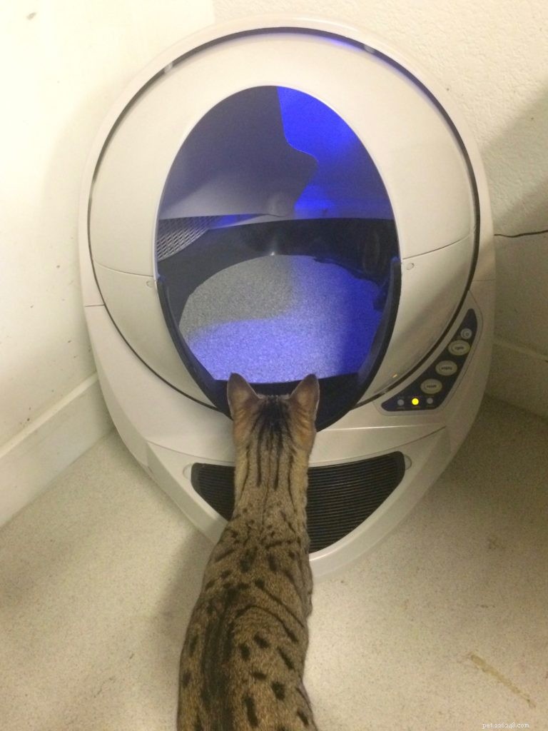 How to Set Up Your Litter Robot in 3 Easy Steps