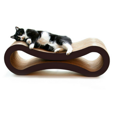 Modern Cat Essentials for Chic Small Apartment Living