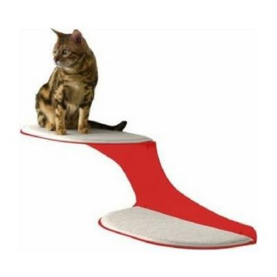 Modern Cat Essentials for Chic Small Apartment Living