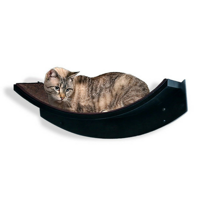 Modern Cat Essentials for Chic Small Apartment Living
