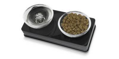 Modern Cat Essentials for Chic Small Apartment Living