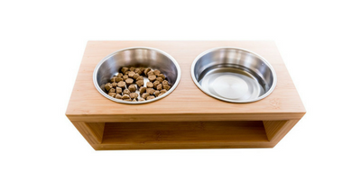 Modern Cat Essentials for Chic Small Apartment Living