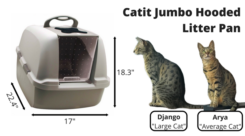 Top Litter Boxes for Savannah Cats: Size, Durability, and Design Explained